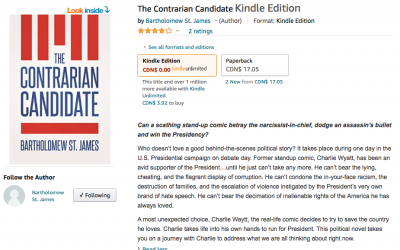 Bestseller in Amazon’s Political Fiction category